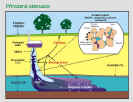 schema_NA.jpg (45526 bytes)